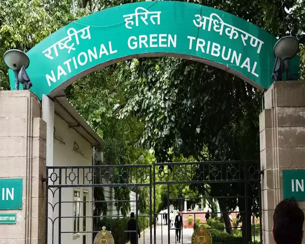 Illegal tree felling in Delhi's Jindpur: NGT issues notice to environment ministry