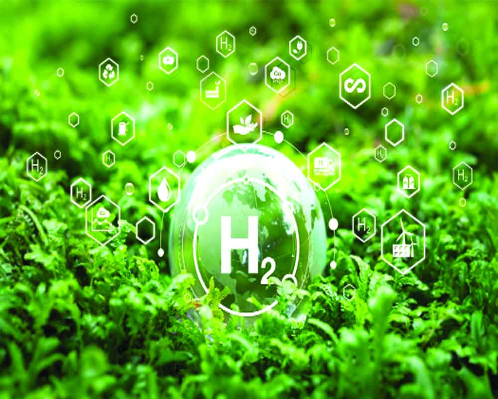 India's green hydrogen revolution: Paving the way for a sustainable energy future