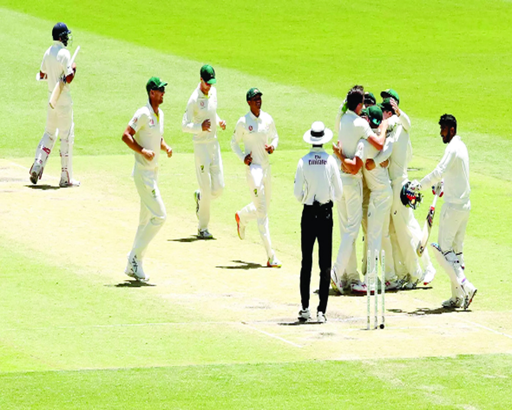 Indian batters ‘can’t stand up’ to Aussie pacers: Haddin