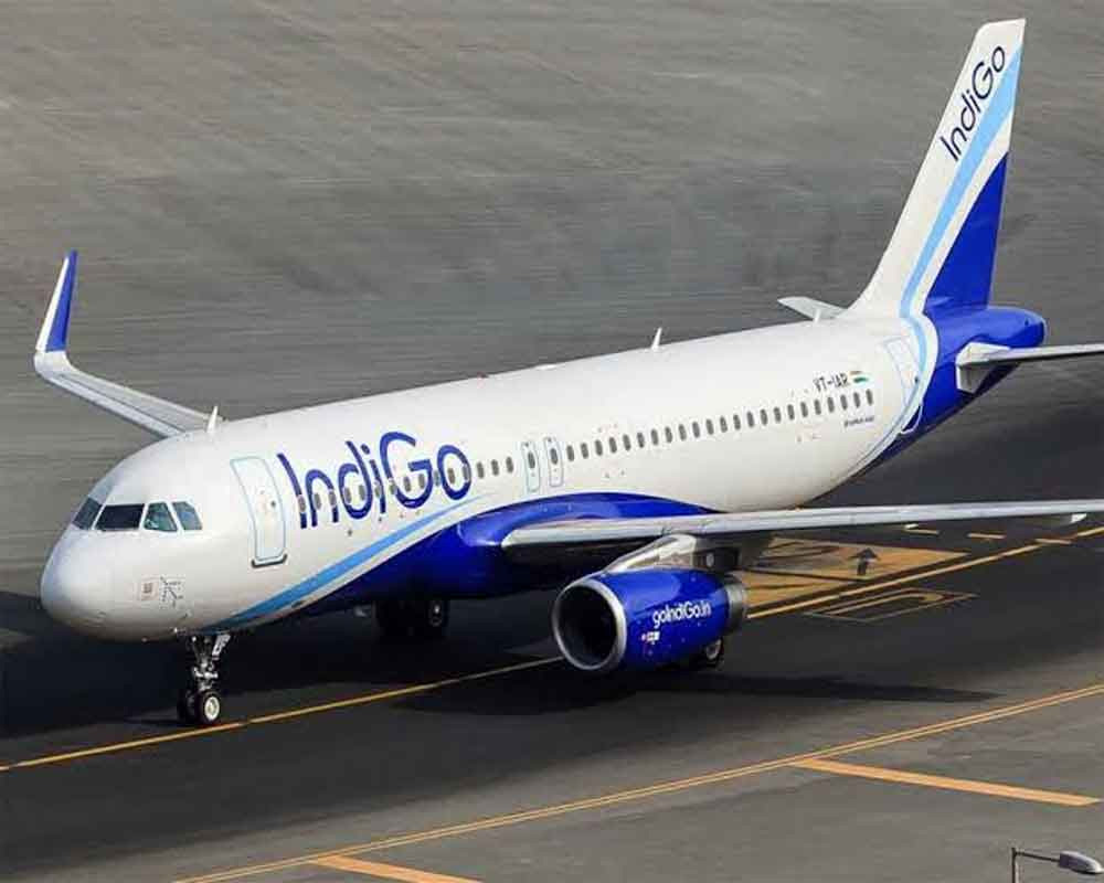 IndiGo flight lands in ‘full emergency' after bomb threat; all 172 passengers disembark safely