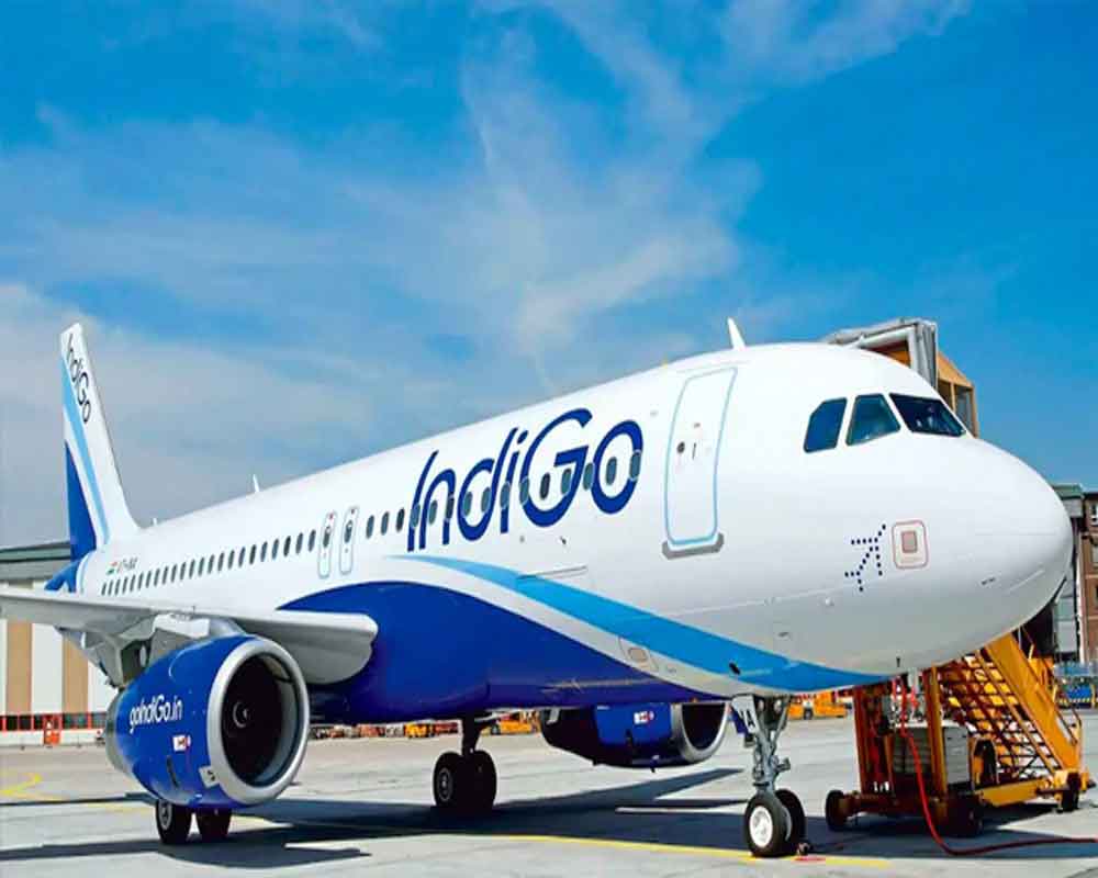 IndiGo's Mumbai-Doha flight faces tech issue; passengers wait long inside plane