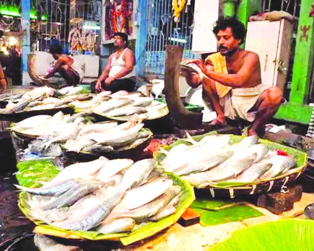 Indo-Bangla ties to relish Hilsa on plates