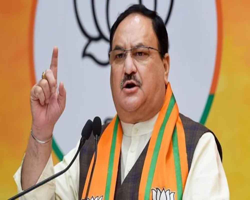 Instead of cheering AAP in Delhi, focus on state of affairs in Punjab: Nadda to CM Mann