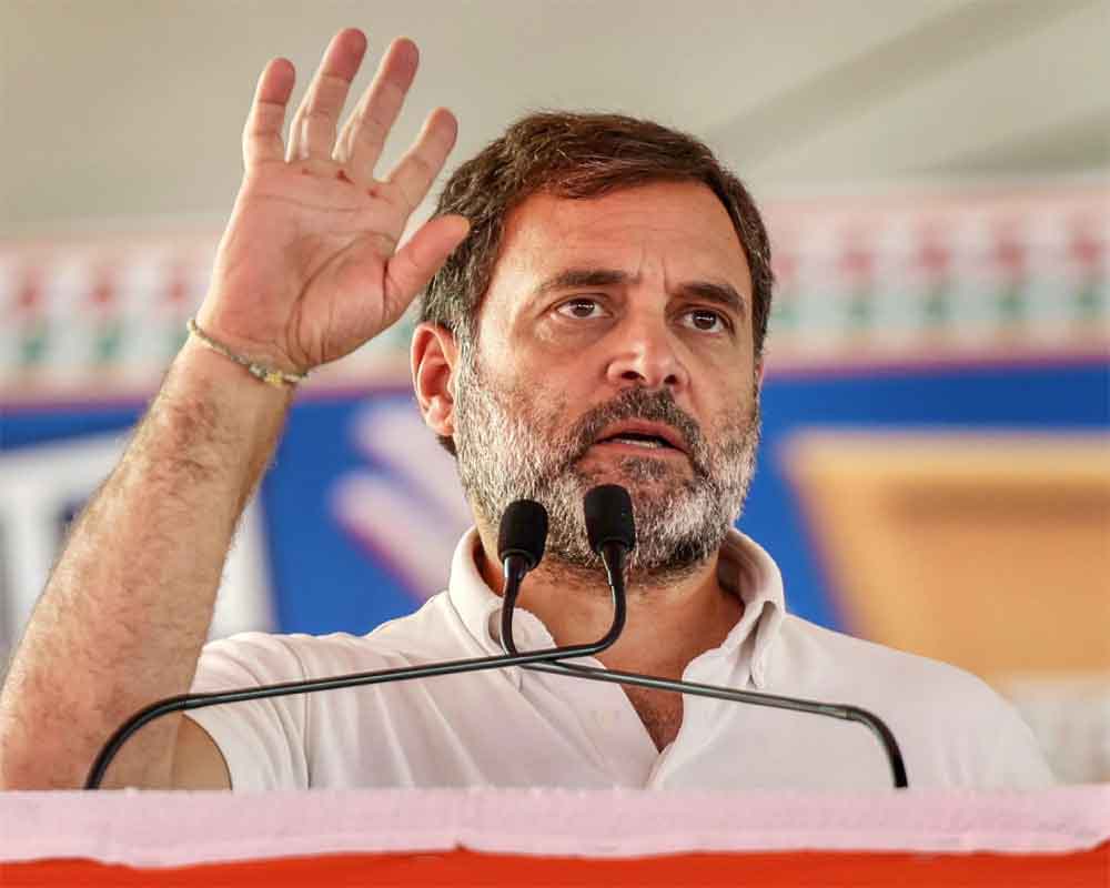 Modi feels copy of Constitution I carry is blank as he has never read it: Rahul Gandhi