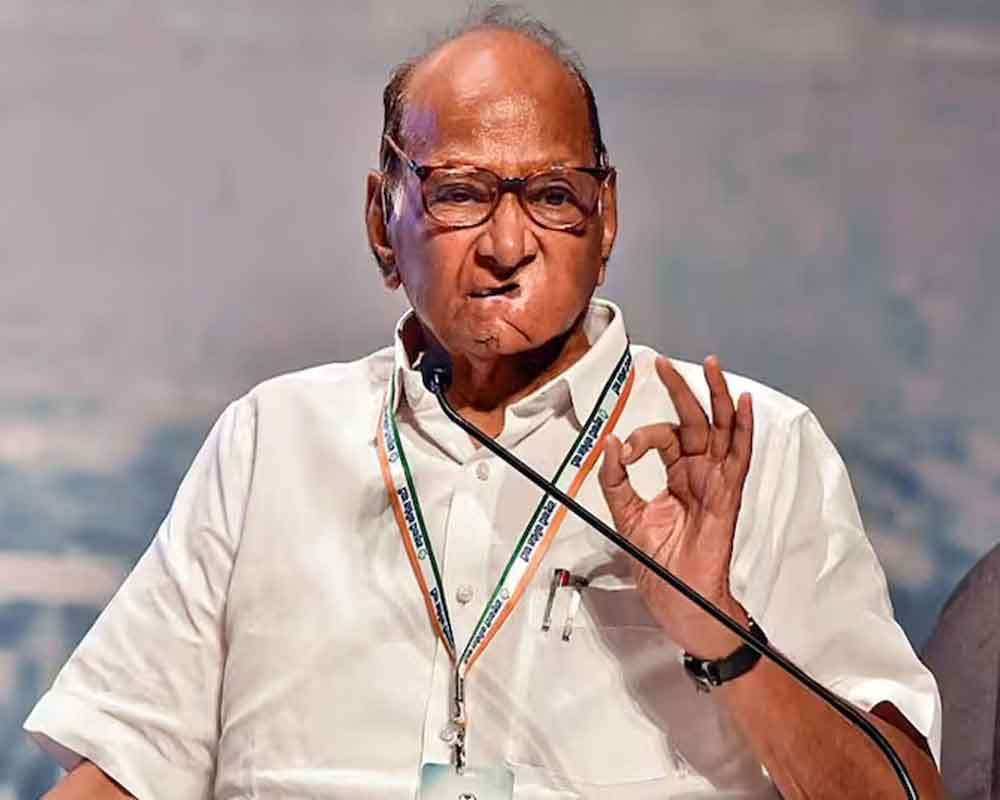 MVA seat-sharing talks to conclude in 10 days; we have to form govt at any cost: Sharad Pawar