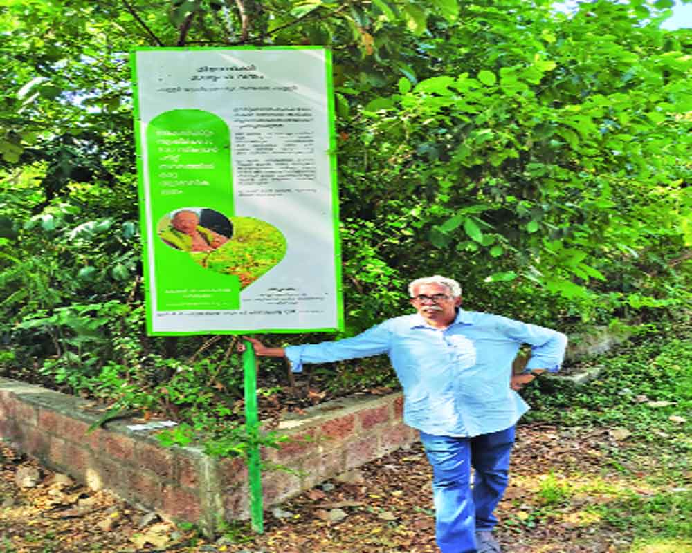 One-man mission to offset loss of forests