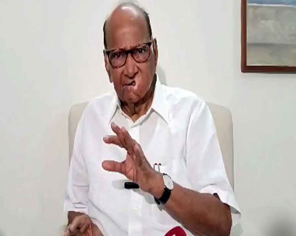 PM Modi 'dividing' society, will have no association with those allied with BJP: Sharad Pawar