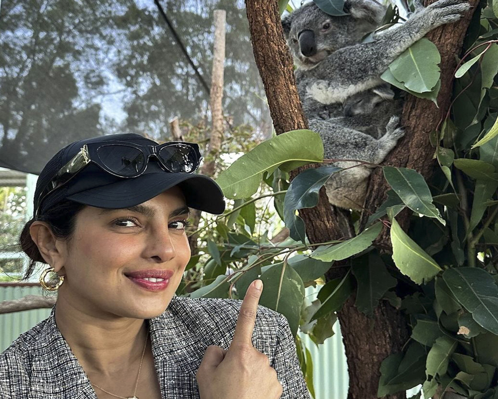 Priyanka Chopra Jonas posts photo with baby koala named after her, calls it a 'lovely surprise'