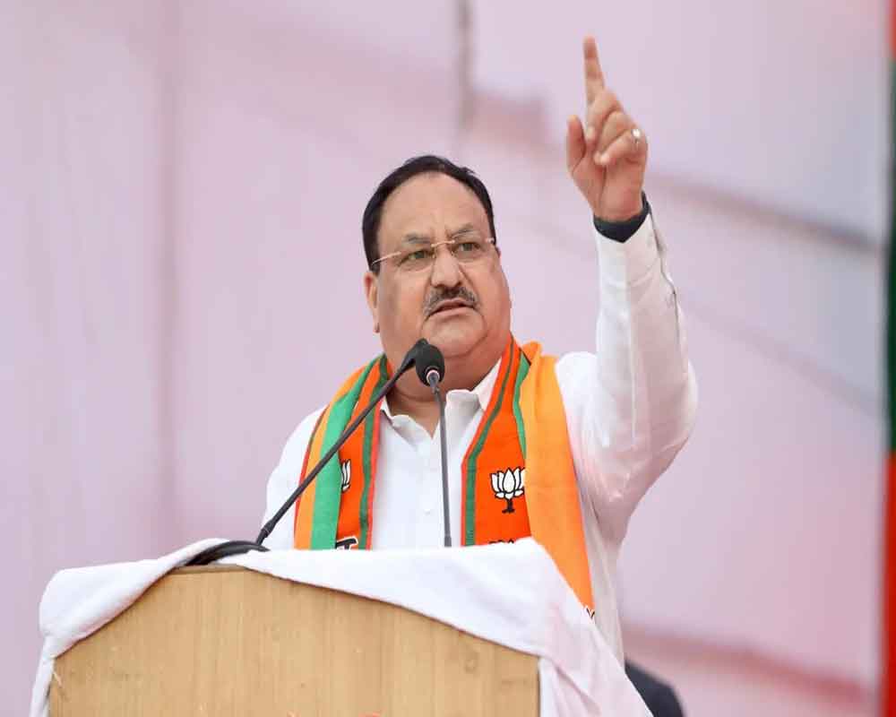 Rahul's advisor talking about dividing India: Nadda slams Cong over Pitroda's 'racist' remarks