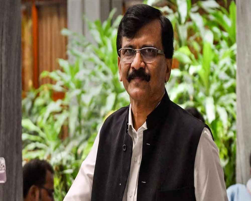 Raut criticises Fadnavis, says he won't understand workings of Sharad Pawar's mind