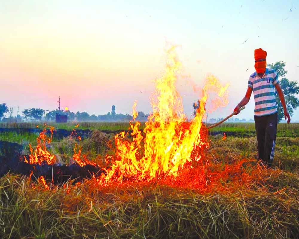 Stubble burning raps Air Quality Commission