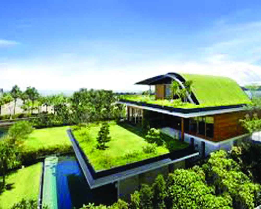 Sustainable real estate: A catalyst for economic growth