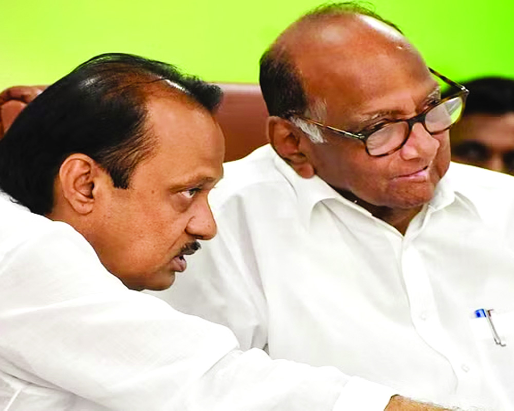 Try to stand on your own legs, Ajit Pawar gets pro-tip from SC