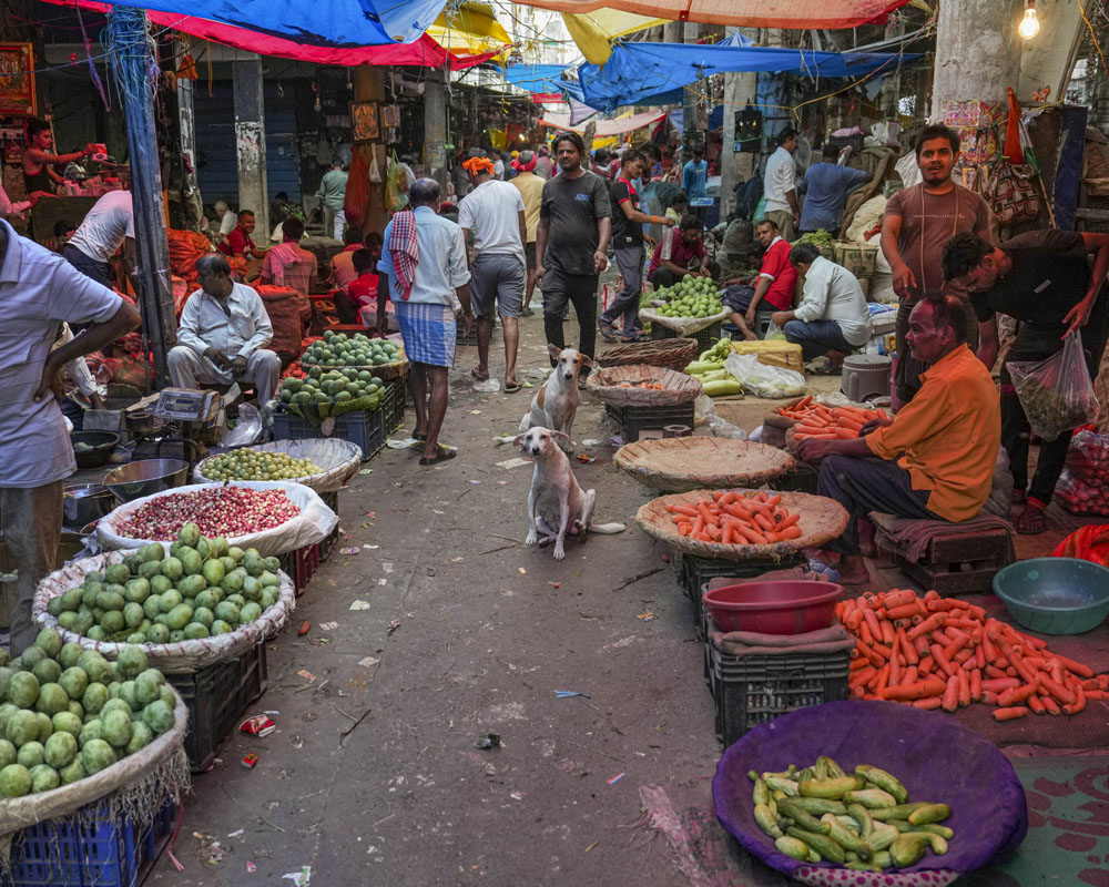 Wholesale inflation dips to 2.04 pc in July