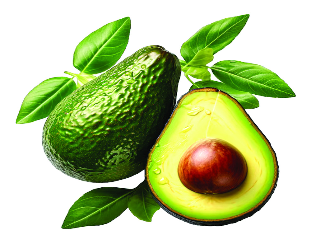 Why Avocados | Everything  you need to know!