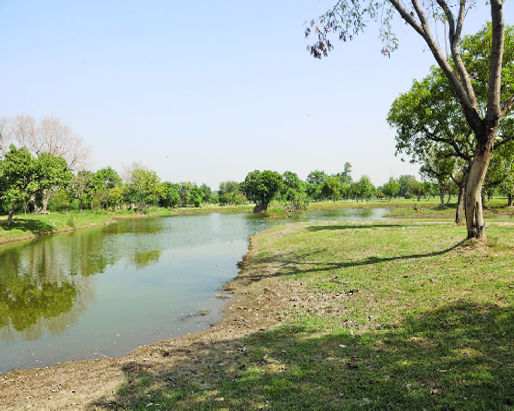 Yamuna Vatika, a green dream for a grey city