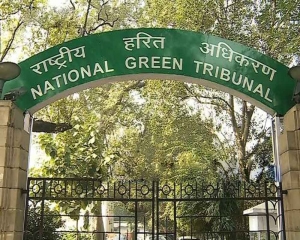 DPCC must comply with order to close illegal shops of scrap dealers: NGT