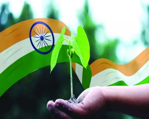 India's green power policies come of age
