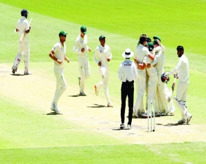 Indian batters ‘can’t stand up’ to Aussie pacers: Haddin