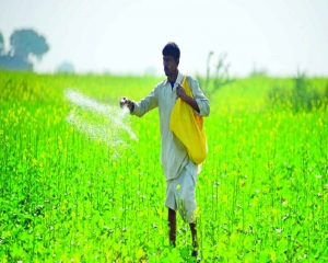 Need for rationalising taxes on fertilisers