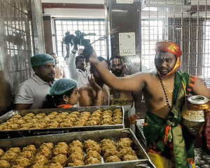 SC forms independent SIT to probe claims of use of animal fat in making Tirupati laddus