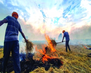 Stubble burning crisis needs practical solutions