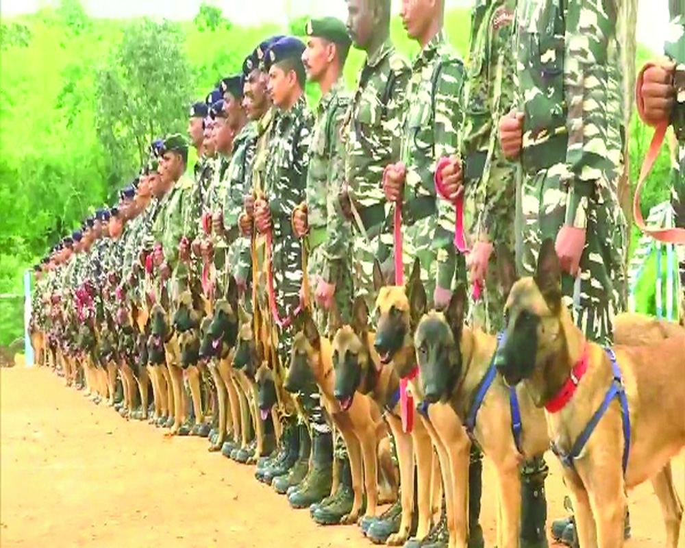 CRPF launches online platform to adopt retired K9s for second life