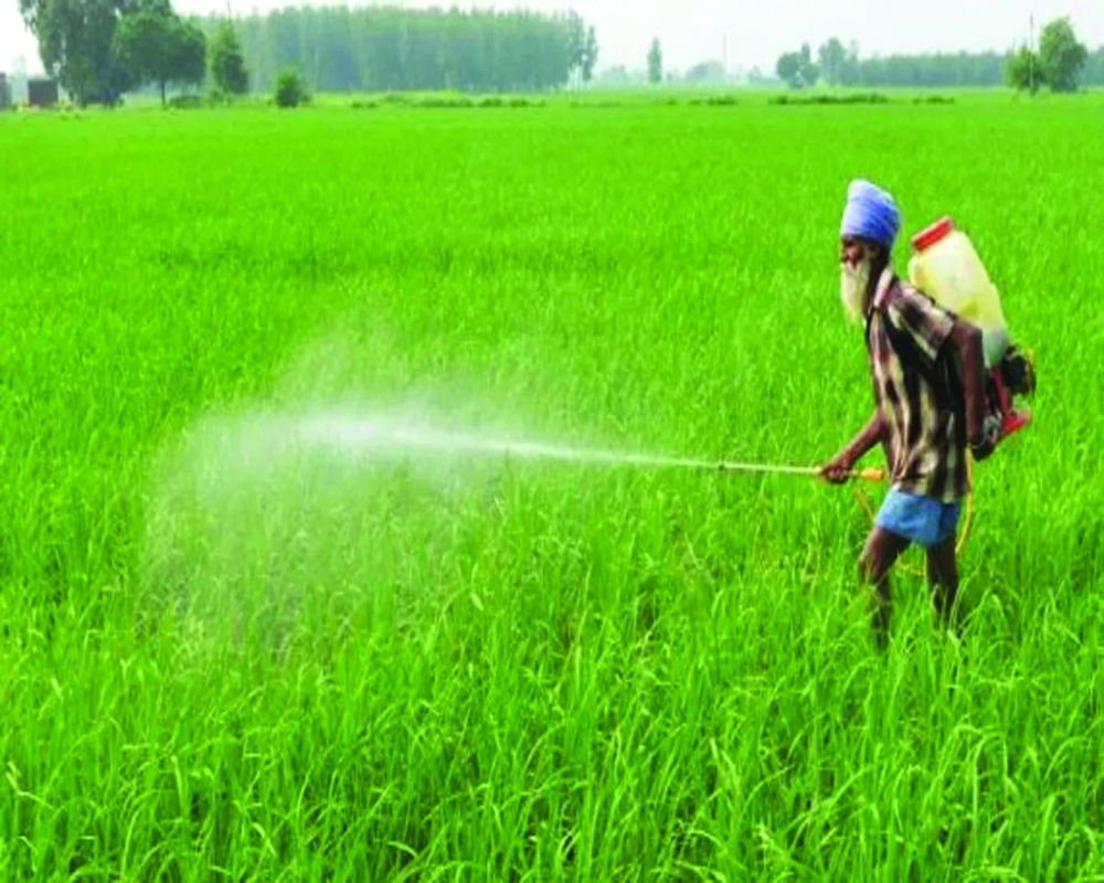 Farmers shunning use of nano-urea despite promotion