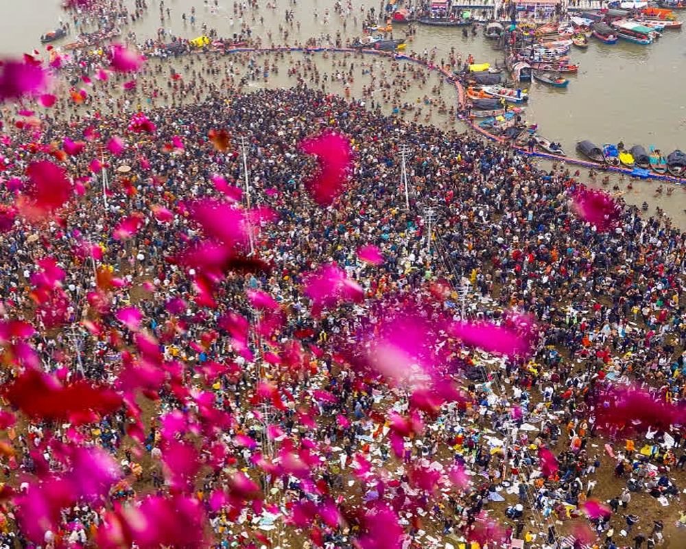 Google joins Maha Kumbh celebration with petal shower on search screen