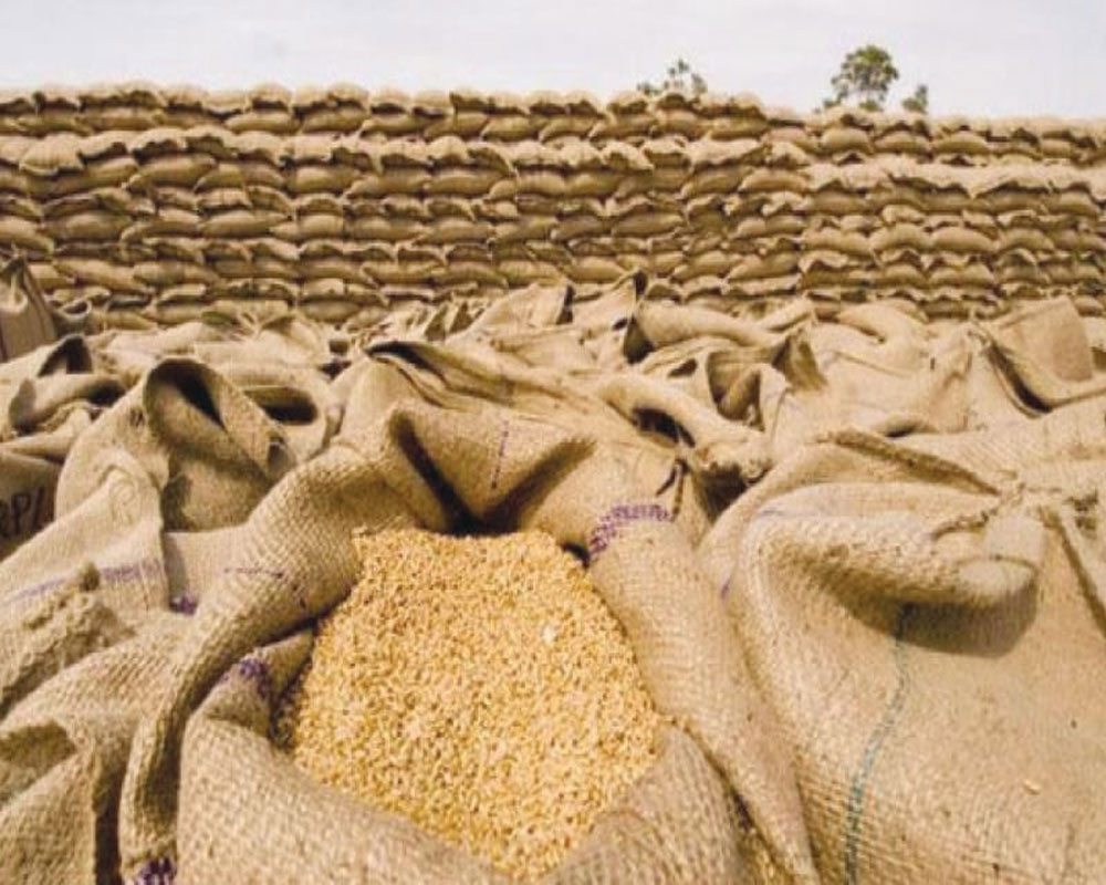 Govt sets wheat procurement target at 30 MT for 2025-26 season