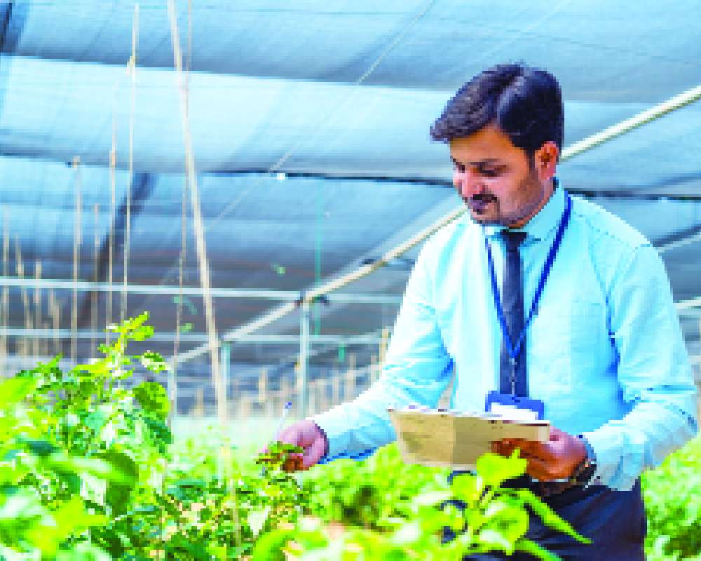 India’s green economy may attract $4.1 trillion investments, create 48 million jobs: Study