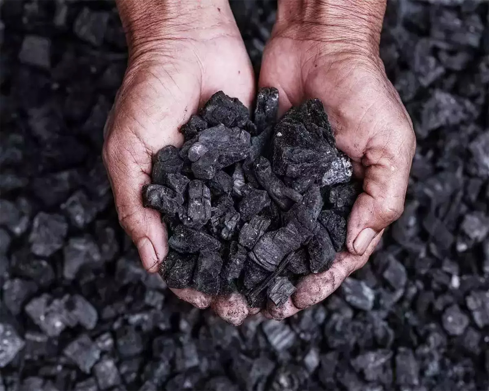 India's coal import rises 2 pc to 182 MT in Apr-Nov period