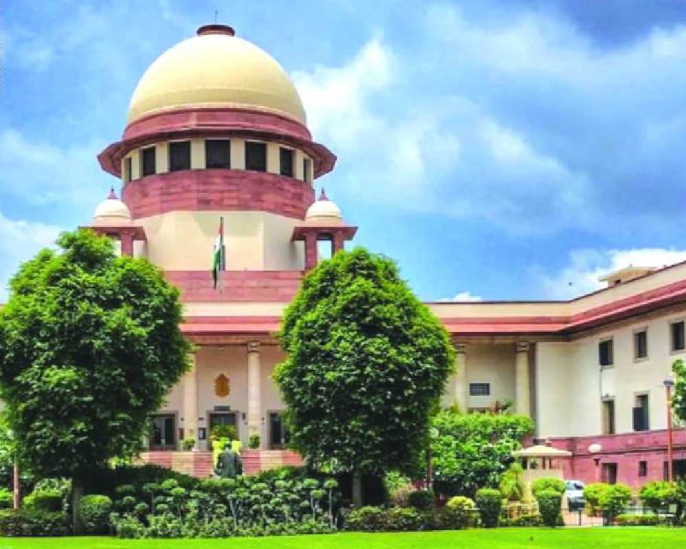 SC grants time to MP sarpanch for surrendering