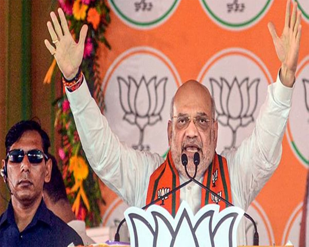 Sharad Pawar's long-term politics of betrayal ended by BJP's poll victory in Maharashtra: Amit Shah