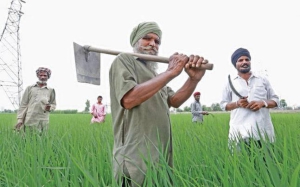 A farmer’s devotion in farewell
