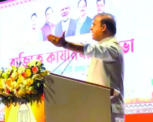 Assam polls to focus on swadesh, swajati : Himanta