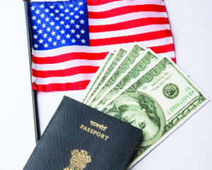 Blasé Capital visa schema