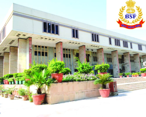 Delhi HC directs reinstatement of BSF constable discharged for being HIV positive