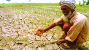 From abundance to alarm: Punjab’s soil crisis