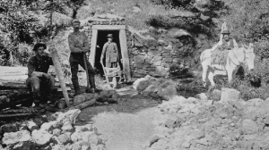 Gold may be cold, silver shivery