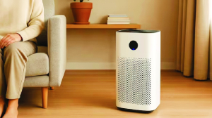 HC seeks cut in GST on air purifiers
