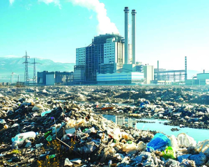 India added 2,362 MW of biomass and 228 MW of waste-to-energy capacity in 10 years