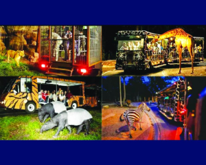 Kukrail Night Safari being developed to promote ecotourism in Lucknow