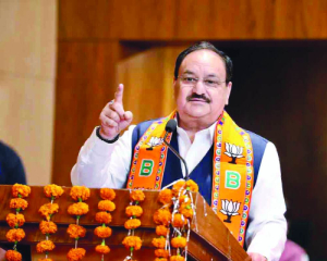 Maternal mortality rate dropped due to rise in institutional deliveries: JP Nadda