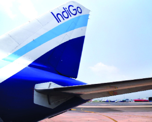 Missing regulators in our lives