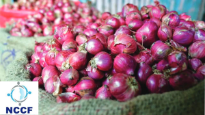 NCCF starts onion sale  at 19/kg in Delhi-NCR