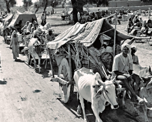 Partition of India A Human Catastrophe