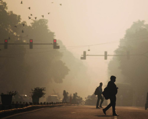 Pollution nearly doubles in November: CREA