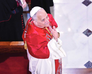 Pope receives warm welcome in Turkiye