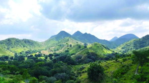 The 100 metre death warrant for Aravali mountain range